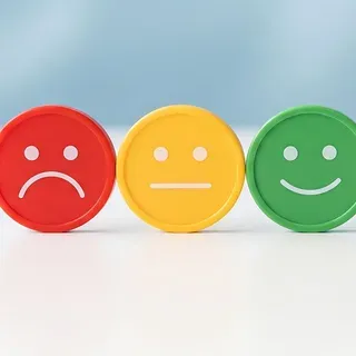 thumbnail for publication: Attitudes and Opinions